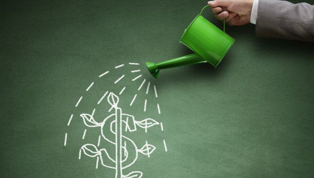 Watering can and money tree drawn on a blackboard concept for business investment, savings and making money