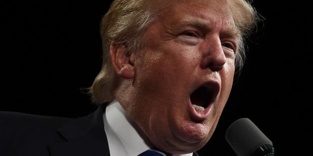 US Republican presidential nominee Donald Trump speaks during a campaign rally at the Suburban Collection Showplace in Novi, Michigan, on September 30, 2016. / AFP / Jewel SAMAD (Photo credit should read JEWEL SAMAD/AFP/Getty Images)