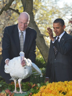 sarah palin and the greatest turkey related disaster in the history of politics video huffpost latest news