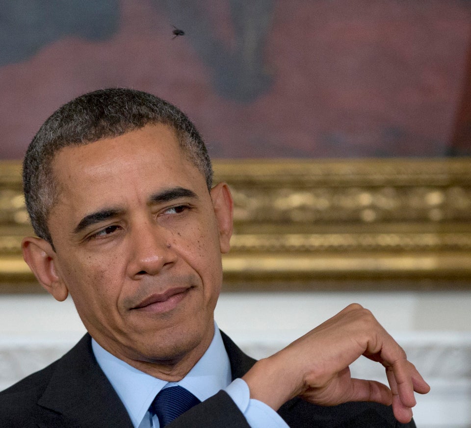 Obama Fly Photo Shows Insect On President's Forehead | HuffPost Latest News