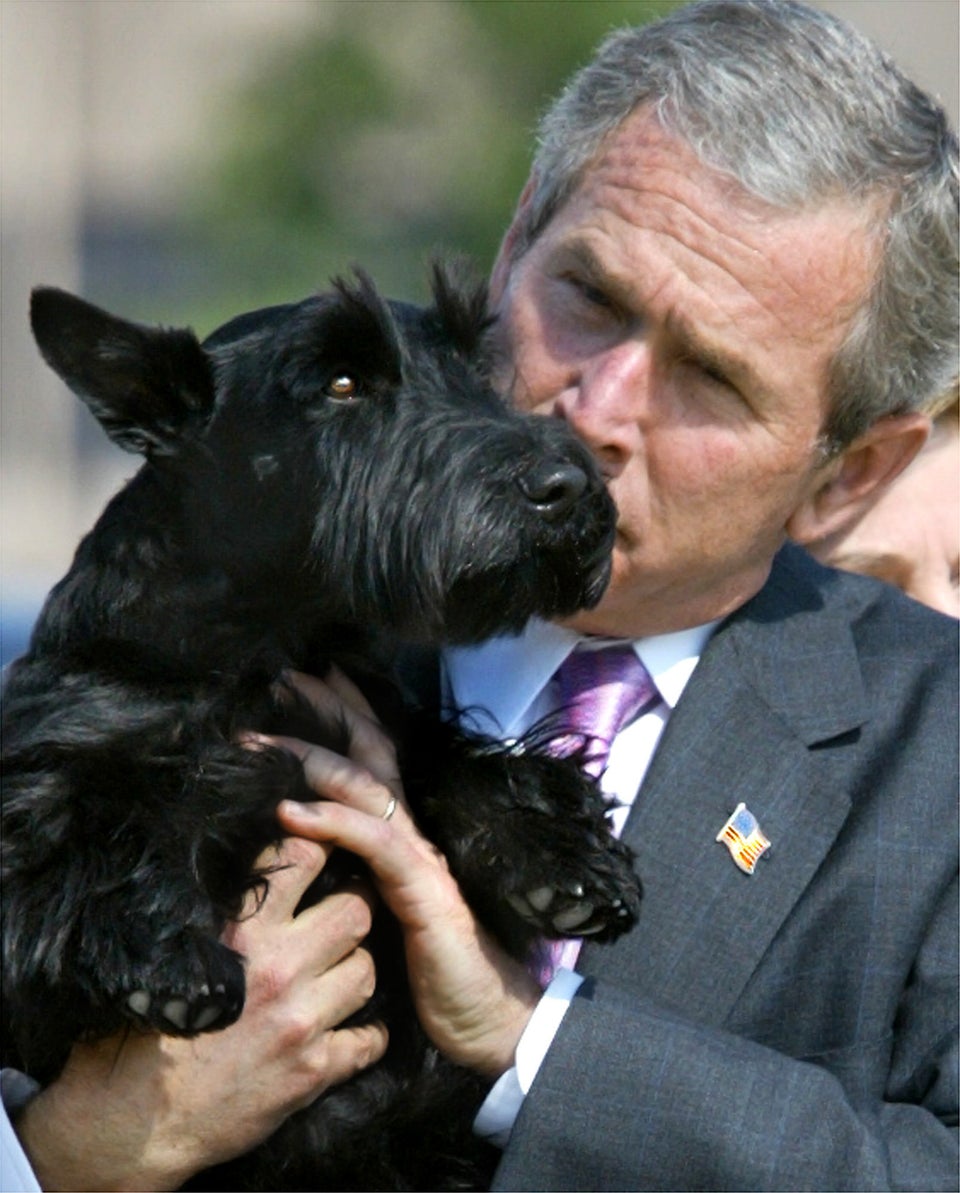 Barney Bush Dead: George W. Bush's Dog Dies At 12 | HuffPost Latest News