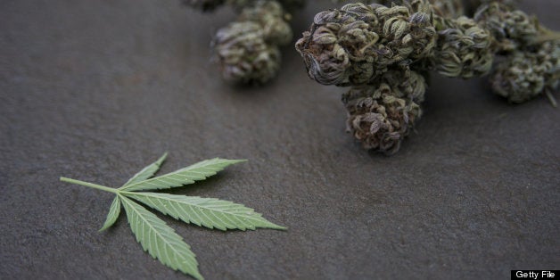 Marijuana buds and leaf on stone.