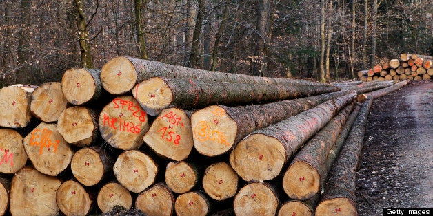 lumbering, stapled logs