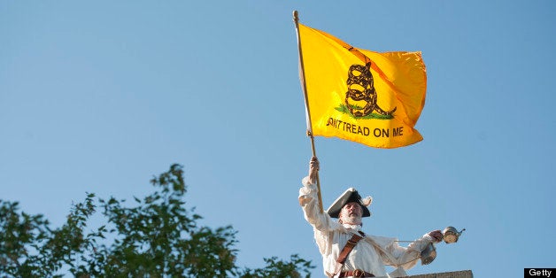 UNITED STATES - AUGUST 11: William Temple of the Brunswick, Ga., a member of the Golden Isle Tea Party, waves a flag outside