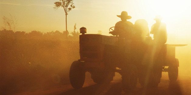 Paraguay,Rio Verde,Mennonite territory,tractor in field in setting sun