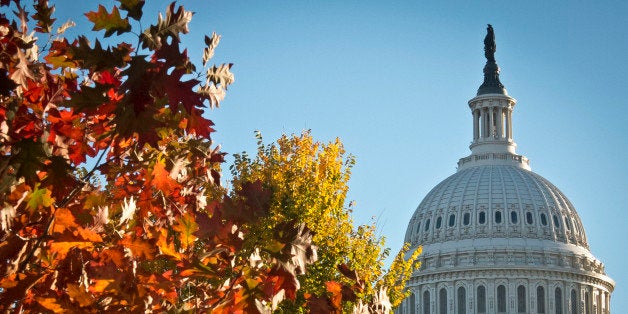 The dome of the US Capitol building is seen on a sunny autumn afternoon in Washington on November 3, 2013. AFP PHOTO/ MLAD
