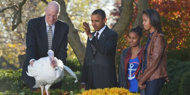 US President Barack Obama gestures during the annual Thanksgiving turkey pardon with his daughters Sasha (2nd R) and Malia (R) on November 21 , 2012 at the White House in Washington, DC. Obama pardoned Cobbler and its alternate Gobbler, both raised in Rockingham County, Virginia. The turkey will then spend the rest of the holiday season on display at George Washington's Mount Vernon estate. At left is National Turkey Federation Chairman Steve Willardsen. AFP PHOTO/Mandel NGAN (Photo credit should read MANDEL NGAN/AFP/Getty Images)