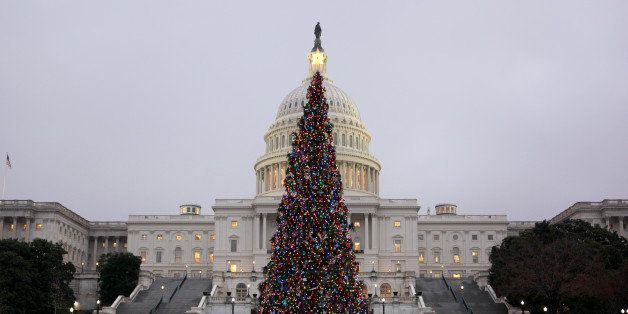 WASHINGTON DC, USA - DECEMBER 9 : The U.S. Capitol Christmas Tree is seen outside the West Front of the United States Capitol in Washington on December 9, 2013. (Photo by Basri Sahin/Anadolu Agency/Getty Images)