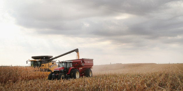 SALEM, SD - OCTOBER 02: Dave Fendrich (in tractor) helps Bryant Hofer (in combine) harvest a field of corn on October 2, 201