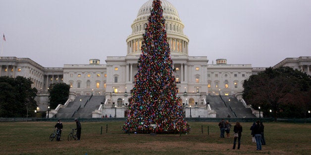 WASHINGTON DC, USA - DECEMBER 9 : The U.S. Capitol Christmas Tree is seen outside the West Front of the United States Capitol in Washington on December 9, 2013. (Photo by Basri Sahin/Anadolu Agency/Getty Images)