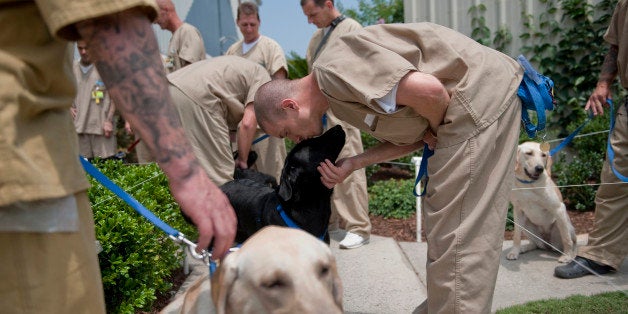 UNITED STATES - JUNE 30: Inmates prepare to head back to their cells after training the dogs for the day. Training the dogs is akin to a full time job for the men, with a fixed schedule and routine happening everyday. The men must care for, exercise and feed the dogs - giving them a sense of responsibility for living creatures, or as the many of them noted, 'as if they were our kids.' (Photo By Chris Maddaloni/CQ Roll Call)