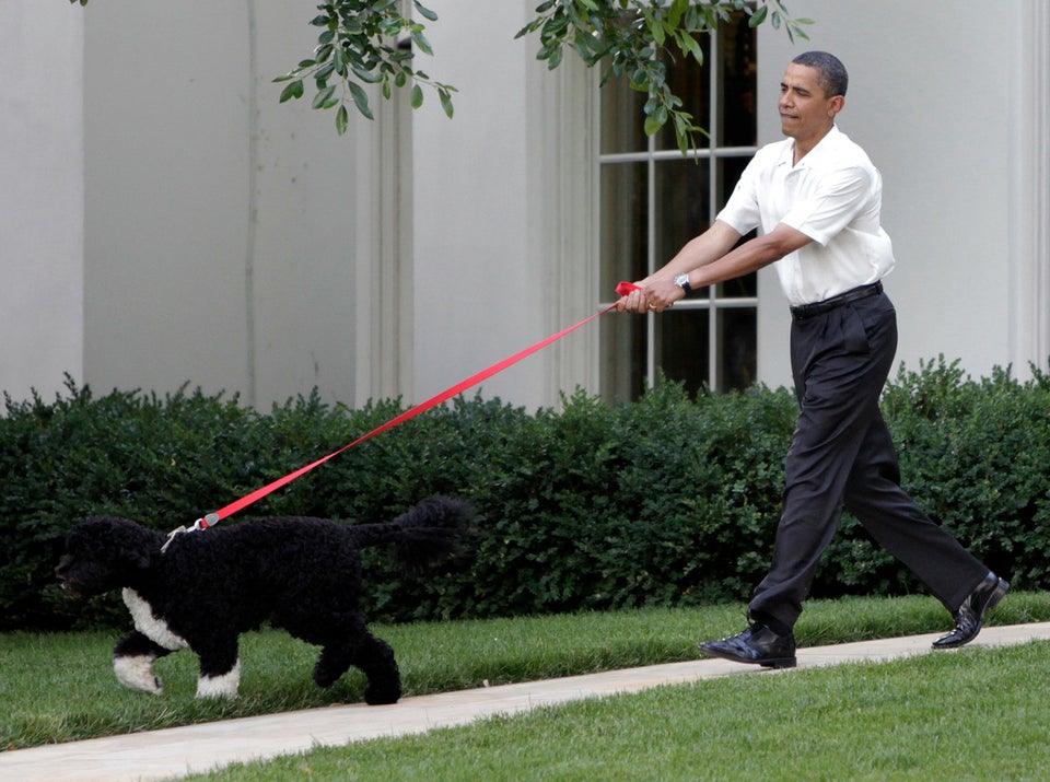 Obama & Bo