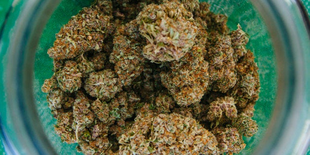SAN BERNARDINO, CALIF. - FEB. 9, 2014: A large jar full of GT Dragon, a cannabis strain created by cross-breading Trainwreck