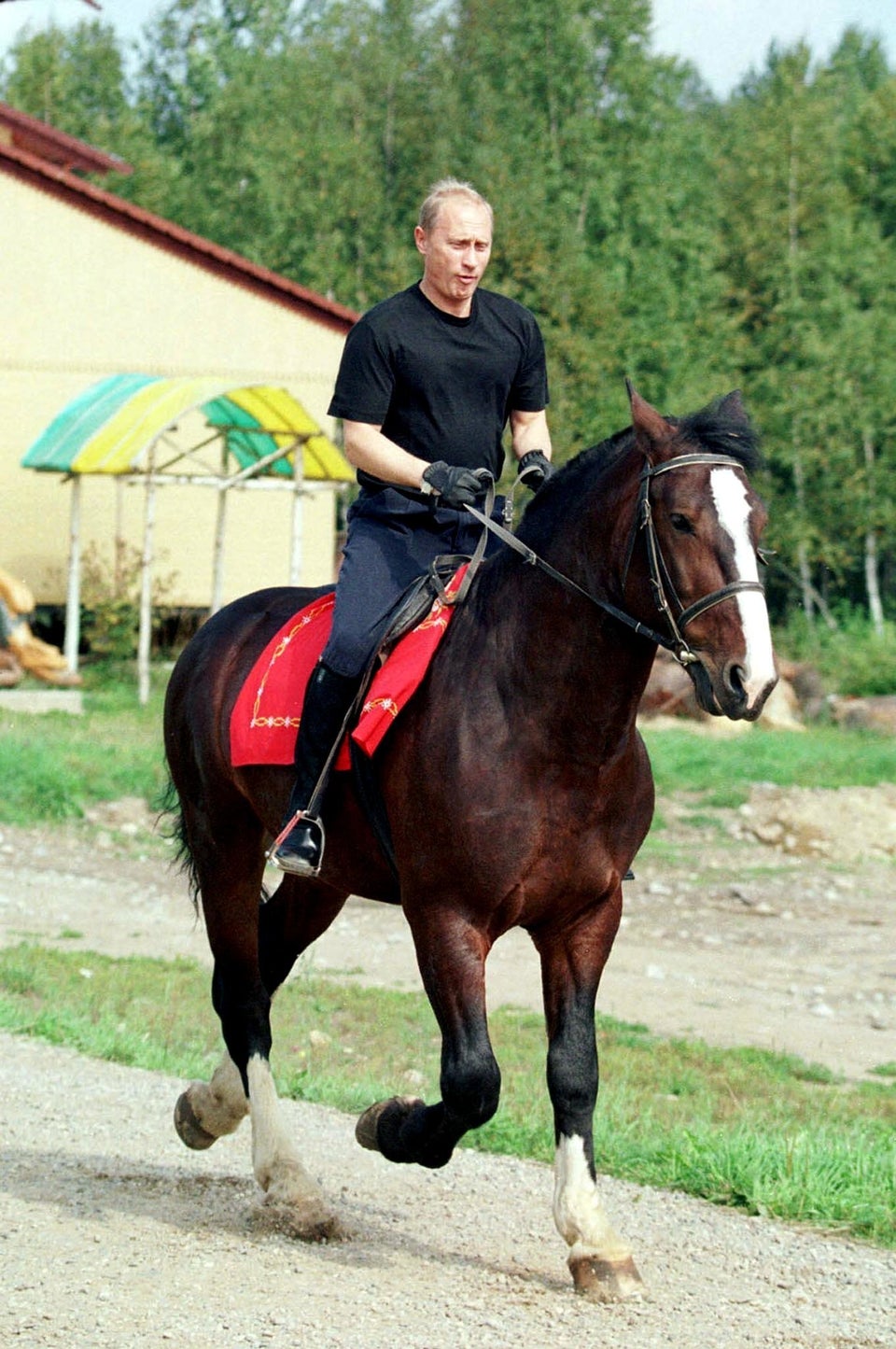 Путин на коне фото