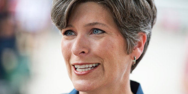 UNITED STATES - AUGUST 08: Joni Ernst, Iowa Republican Senate candidate, campaigns at the 2014 Iowa State Fair in Des Moines, Iowa, August 8, 2014. (Photo By Tom Williams/CQ Roll Call)