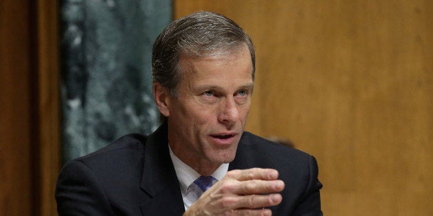 WASHINGTON, DC - FEBRUARY 05: Sen. John Thune (R-SD) questions Treasury Secretary Jack Lew during a Senate Finance Committee