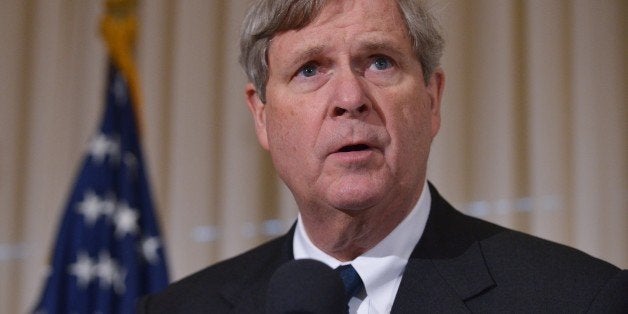 US Agriculture Secretary Tom Vilsack speaks during the launch of the US Agriculture Coalition for Cuba at the National Press Club on January 8, 2014 in Washington, DC. The coalition is seeking to advance trade relations between the US and Cuba by ending the embargo policy. AFP PHOTO/Mandel NGAN (Photo credit should read MANDEL NGAN/AFP/Getty Images)