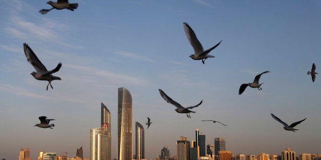 Seagulls fly over the city skyline in Abu Dhabi, United Arab Emirates, Wednesday Jan. 14, 2015. Seagulls are the migrating wi