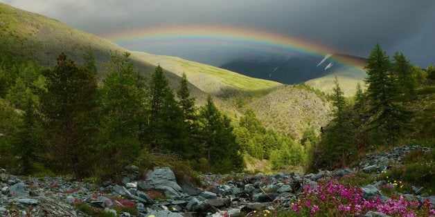 Rainbow in the forest