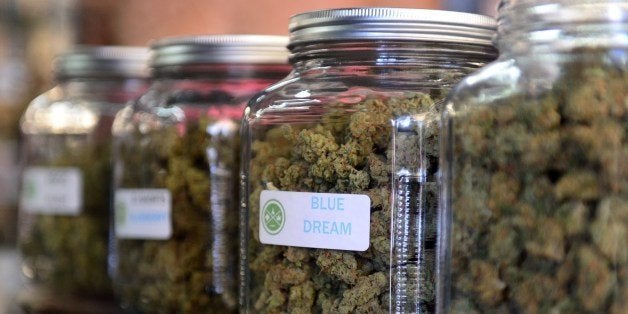 The highly-rated strain of medical marijuana 'Blue Dream' is displayed among others in glass jars at Los Angeles' first-ever cannabis farmer's market at the West Coast Collective medical marijuana dispensary, on the fourth of July, or Independence Day, in Los Angeles, California on July 4, 2014 where organizer's of the 3-day event plan to showcase high quality cannabis from growers and vendors throughout the state. A vendor is seen here responding to questions and offering a whiff of the strain 'Skyjack'. AFP PHOTO/Frederic J. BROWN (Photo credit should read FREDERIC J. BROWN/AFP/Getty Images)