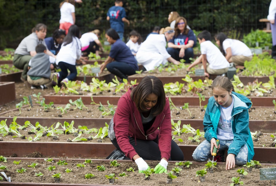 Gardening news