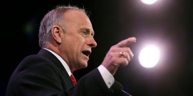 Rep. Steve King, R-Iowa speaks during the Freedom Summit, Saturday, Jan. 24, 2015, in Des Moines, Iowa. (AP Photo/Charlie Neibergall)