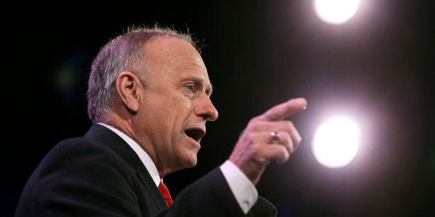 Rep. Steve King, R-Iowa speaks during the Freedom Summit, Saturday, Jan. 24, 2015, in Des Moines, Iowa. (AP Photo/Charlie Nei