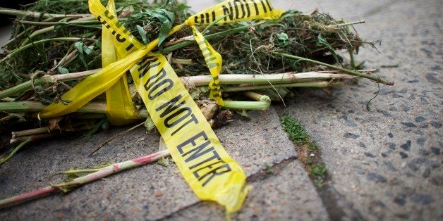 PHILADELPHIA, PA - MAY 15: Vegetation refuse is wrapped in police 'do not enter' tape and put out for morning trash collecti