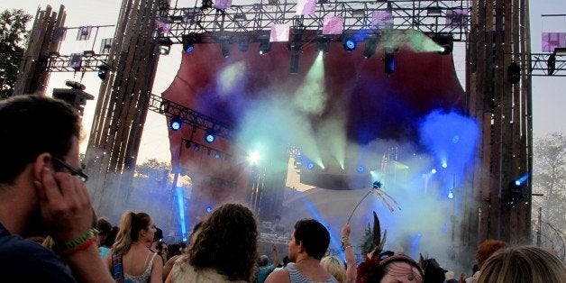 A DJ performs on The Lightning Stage at Lightning In A Bottle music festival on Saturday, July 13, 2013 at Skinner Lake in Temecula, Calif. (Photo by Sarah Hummert/Invision/AP)