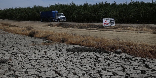 FIREBAUGH, CA - APRIL 24: Dry cracked earth is visible near an almond orchard on April 24, 2015 in Firebaugh, California. As