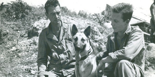 The caption on this photograph reads "Enemy Canine-âMotobuâ, a German Shepherd war dog of the Japs, displays friendliness and complete trust in the hands of the new owners on Okinawa. (left) Marine First Lieutenant Merril F. McLane, is the finder of the animal. Suffering from shell shock the dog lay under a rock, almost unconscious and unable to make itsâ way to a nearby stream for a drink. Lieutenant McLane brought the sufferer a helmet full of water. Corporal Howard L. Cox helps the officer to care for the canine who is named for the peninsula on the island."From the Photograph Collection (COLL/3948), Marine Corps Archives & Special CollectionsOFFICIAL USMC PHOTOGRAPH