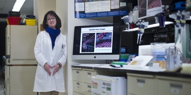 Dr. Nancy Sullivan Senior Investigator, Chief, Biodefense Research Section, National Institute of Allergy and Infectious Diseases, NIH, chats with the press while awaiting US President Barack Obama for a tour of the vaccine research center at the National Institutes of Health on December 2, 2014 in Bethesda, Maryland. The NIH recently published results from phase 1 clinical trials of an Ebola vaccine candidate. AFP PHOTO/Mandel NGAN (Photo credit should read MANDEL NGAN/AFP/Getty Images)