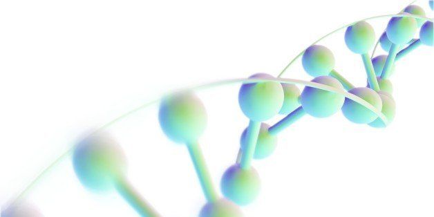 DNA molecule, computer artwork. DNA (deoxyribonucleic acid) is composed of two strands twisted into a double helix. DNA contains sections called genes, which encode the body's genetic information