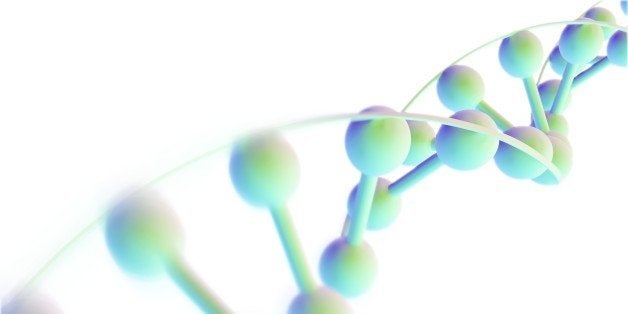 DNA molecule, computer artwork. DNA (deoxyribonucleic acid) is composed of two strands twisted into a double helix. DNA conta