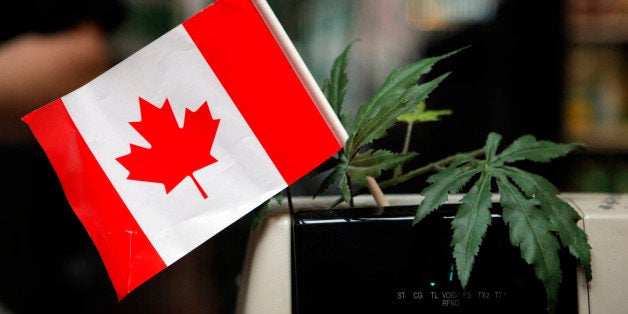 A cash register is adorned with a Canadian flag and imitation marijuana leaves at the BC Marijuana Party Headquarters in Vanc