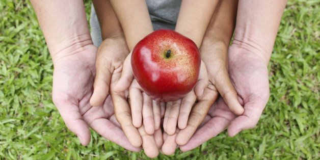Adult hands holding kid hands with red apple on top on green grass background.