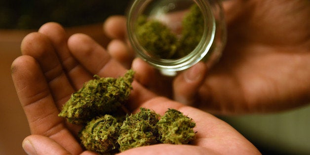 WASHINGTON, DC - AUGUST 8: A home pot grower shows some of his marijuana from a previous harvest inside his apartment in Washington, D.C., August 8, 2015. The female plants, which were grown in large flower tents with LED and daylight lights, need around 60 days before they are ready. (Photo by Astrid Riecken For The Washington Post via Getty Images)