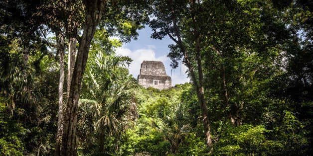 Temple through the canopy