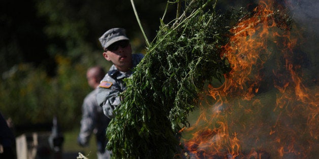 A Kentucky National Guardsmen throws a bushel of illegal marijuana plants seized by the Kentucky State Police Cannabis Suppression Branch onto a fire in Bronston, Kentucky, U.S., on Wednesday, Sept. 16, 2015. Funded by federal grant money, the Kentucky State Troopers and Kentucky Army National Guard work together to enforce marijuana laws including destroying illegal grow operations throughout the state. Photographer: Luke Sharrett/Bloomberg via Getty Images