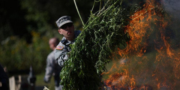 A Kentucky National Guardsmen throws a bushel of illegal marijuana plants seized by the Kentucky State Police Cannabis Suppression Branch onto a fire in Bronston, Kentucky, U.S., on Wednesday, Sept. 16, 2015. Funded by federal grant money, the Kentucky State Troopers and Kentucky Army National Guard work together to enforce marijuana laws including destroying illegal grow operations throughout the state. Photographer: Luke Sharrett/Bloomberg via Getty Images 