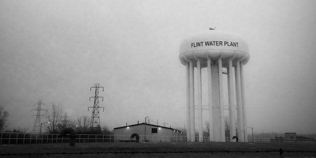 This Jan. 21, 2016 photo shows the water tower at the Flint, Mich., water plant. Flintâs mayor has floated a shockingly high price to fix the cityâs lead-contamination problem, saying it could millions to replace damaged pipes. (Perry Rech/American Red Cross via AP) MANDATORY CREDIT