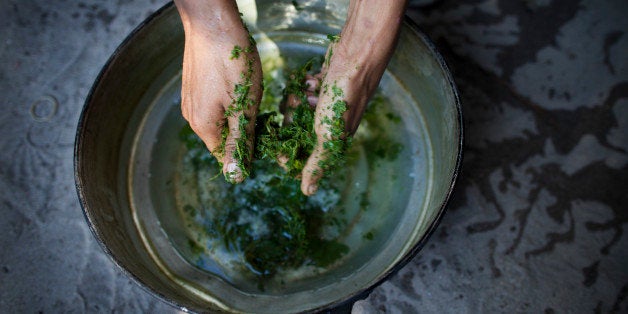 NARWATHIWAT,THAILAND - SEPTEMBER 1: A Thai Malay Muslim drug user breaks up the kratom leaf into a pan to form part of a popular cheap narcotic drink called 4 x 100 on September 1, 2011in Narwathiwat, southern Thailand. Translated as ' sii khun roi,' 4 x 100 is a mix of the illegal kratom leaf, cough syrup and Coca-Cola with added ingredients like tranquilizers and marijuana. Many unemployed young ethnic Thai Malay Muslims are becoming more embedded in daily substance abuse and a culture of drugs as they turn to substances such as 4 x 100, marijuana and methamphetamines to cope with daily life. In southern Thailand for the last 6 years there has been almost daily violence happening over a wide region which has claimed more than 4,000 lives. The on-going, low grade insurgency and violence is between Muslim separatists, and the Thai security forces in a country that is over 95% buddhist. (Photo by Paula Bronstein/Getty Images)