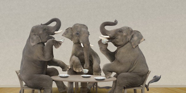 Elephants having tea party