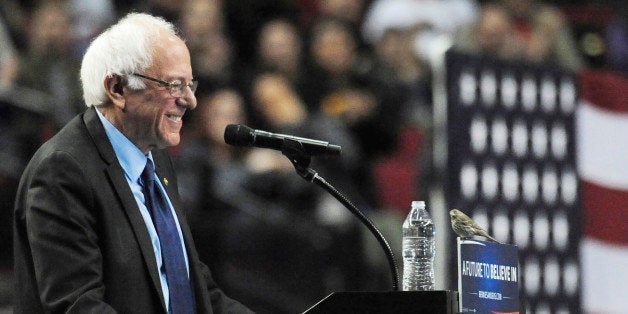 Democratic presidential candidate Sen. Bernie Sanders, I-Vt., smiles as a bird lands on his podium as he speaks during a rally at the Moda Center in Portland, Ore., Friday, March 25, 2016. (AP Photo/Steve Dykes)