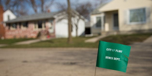 FLINT, MI - MARCH 17: A City of Flint Sewer Dept. marker flag waves in the wind on a block where lead water lines have started to be replaced on March 17, 2016 in Flint, Michigan. Flint continues to work through the effects of water contamination. (Photo by Brett Carlsen/Getty Images)