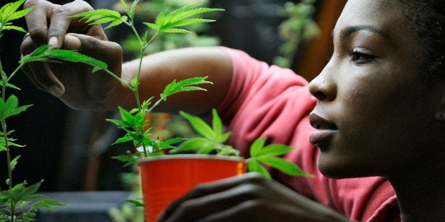 Ayrn Taylor, a United Food and Commercial Workers union (UFCW) member and employee at the Venice Beach Care Center, displays medical marijuana during a media visit at the medical marijuana dispensary in Los Angeles, California February 6, 2013. The Venice Beach Care Center, is one of three medical marijuana shops in Los Angeles that are staffed by dues-paying union members. Another 49 dispensaries in the city plan to enter into labor agreements with the UFCW this year, the union says. REUTERS/Jonathan Alcorn (UNITED STATES - Tags: DRUGS SOCIETY HEALTH BUSINESS EMPLOYMENT)