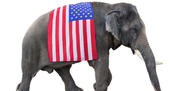 elephant carries a flag USA, isolated on white background