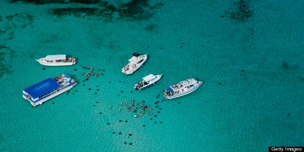 Viewing Stingrays at the Sandbar