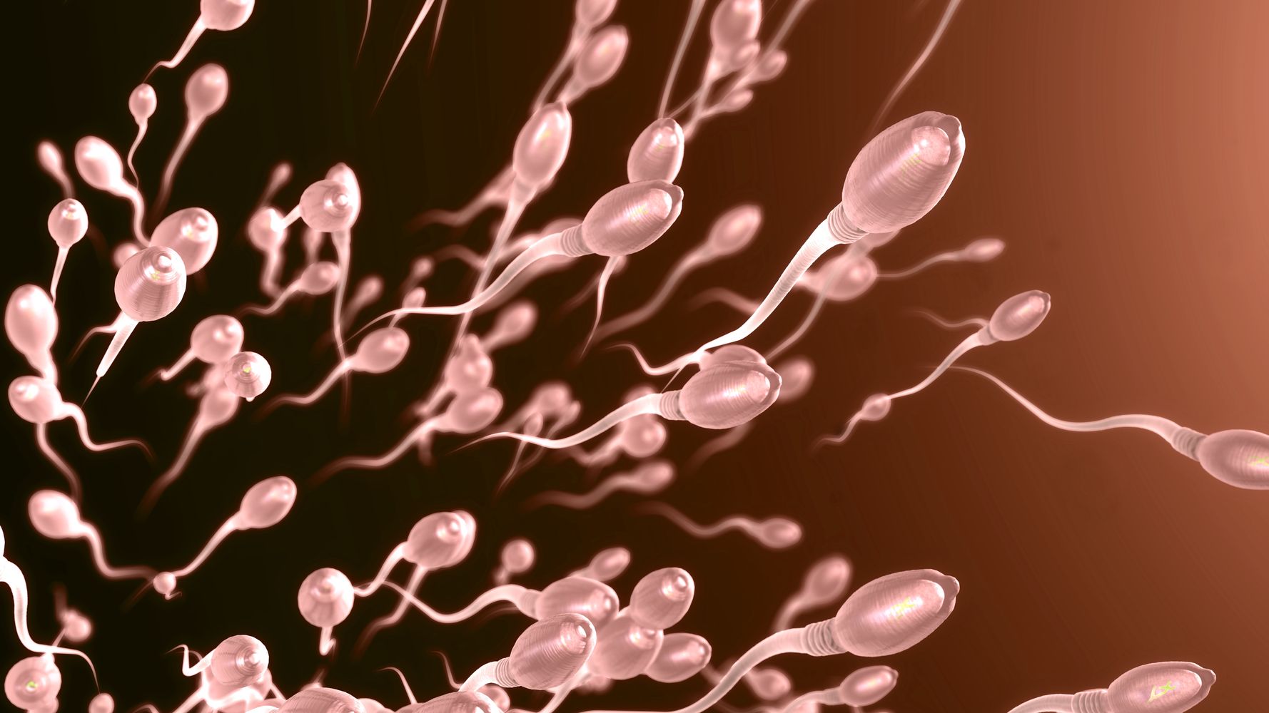 A Shortage Of Sperm Donors The Brexit Dilemma We Didn T See Coming