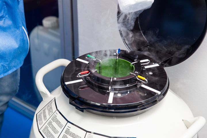 A liquid nitrogen cryogenic tank where sperm is stored. 